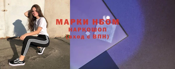 бошки Новодвинск